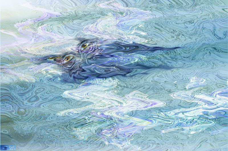 The Water Owl